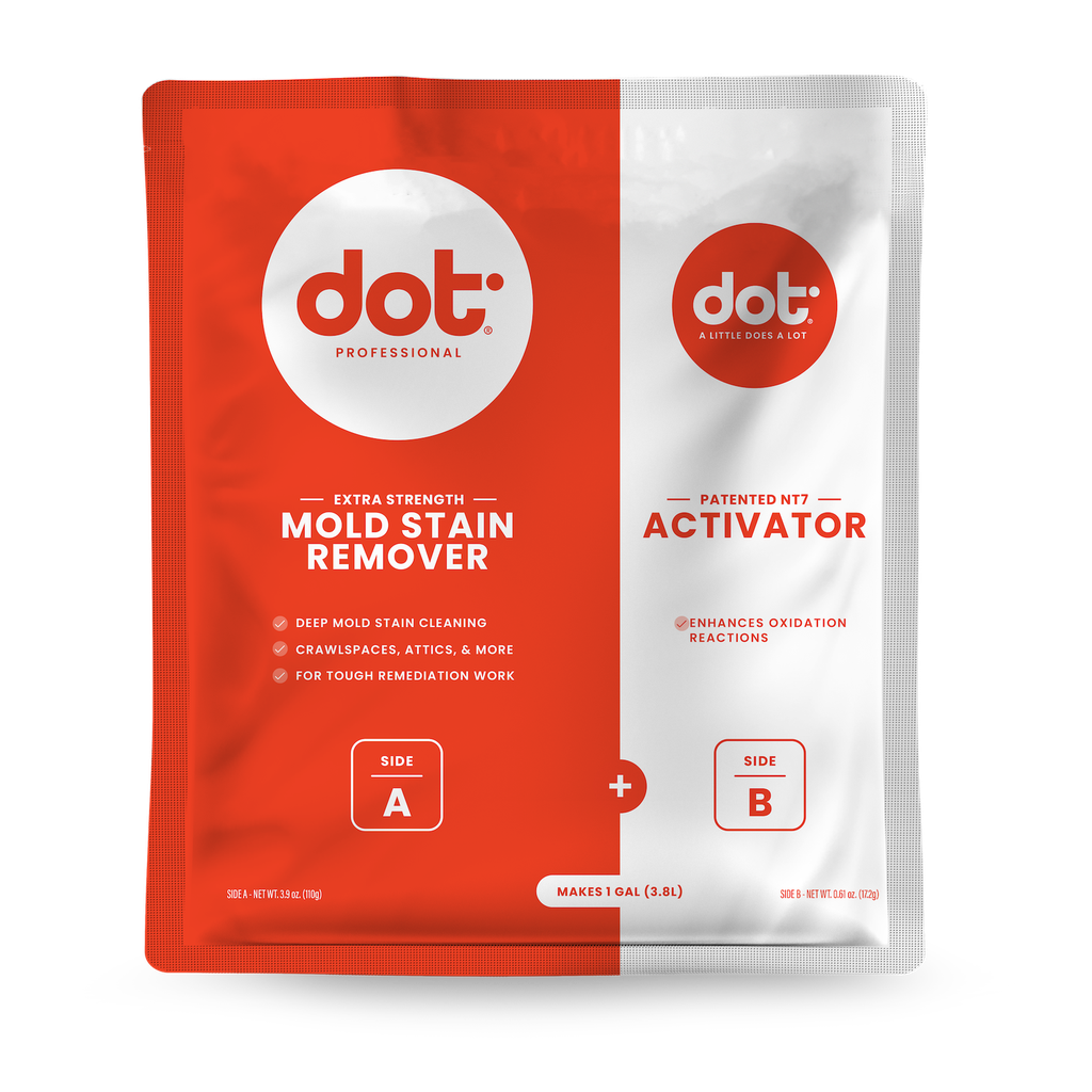 Extra Strength Mold Stain Remover ( Qty 1 ) - My Basement Solutions